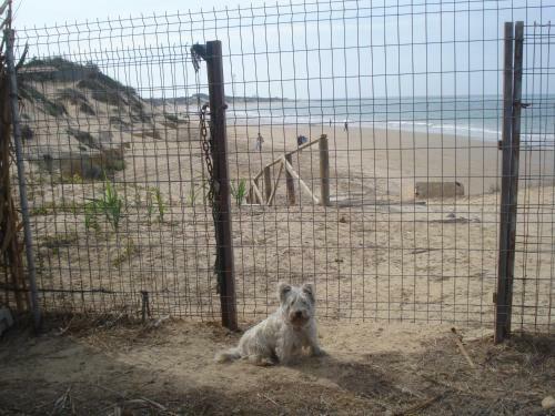 Finca Las Dunas