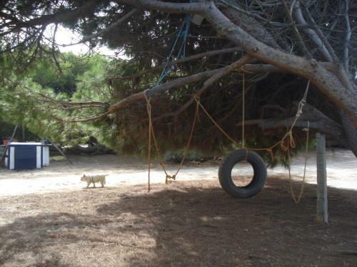 Finca Las Dunas