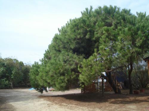 Finca Las Dunas