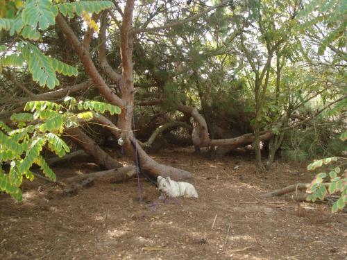 Finca Las Dunas