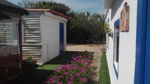 Finca Las Dunas