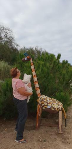 Finca Las Dunas