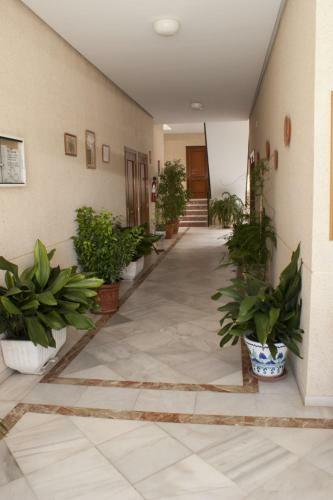 Apartamentos Marina