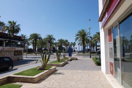 Apartamento Zeus Alexis