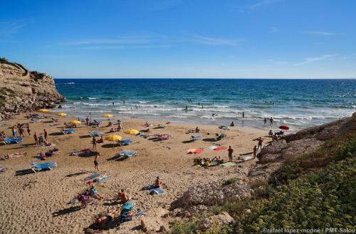 Apartamento Zeus Alexis
