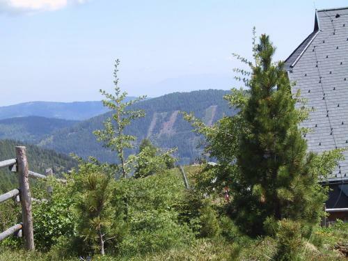 Apartamento Almhaus Wei�mann