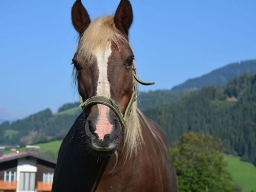 Holiday Home Oberau Huttauniedernfritz