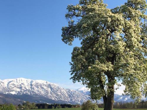 Agroturismo Weslhof