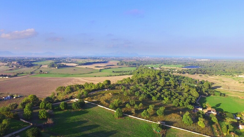 Villa Son Vador