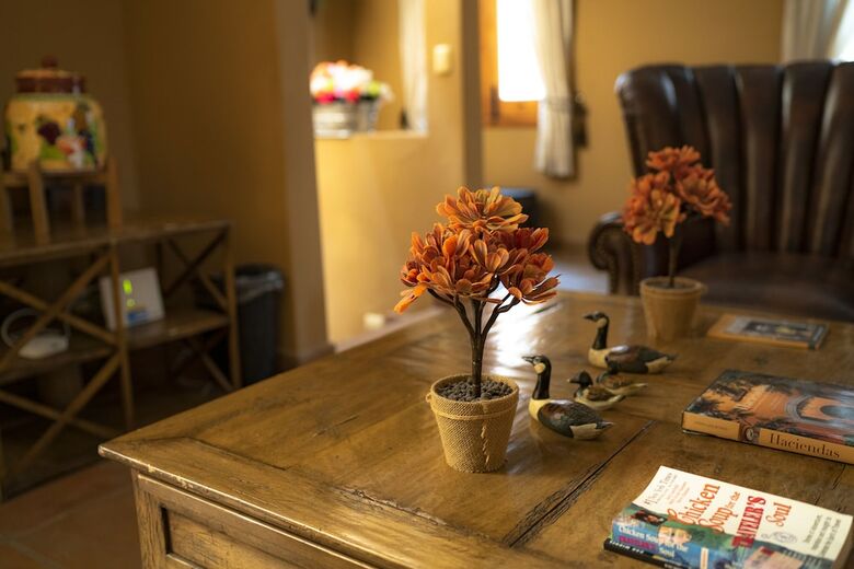 Tadeo Inn Bed & Breakfast