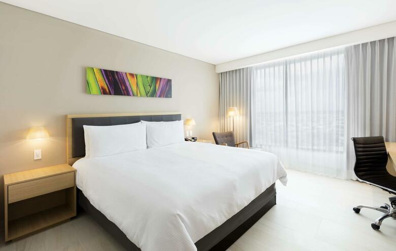 Hotel Hilton Garden Inn Merida