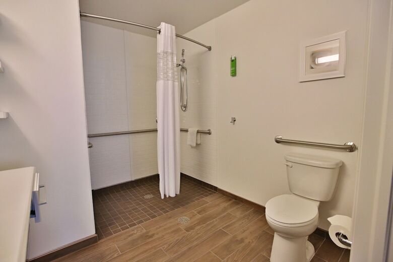 Hotel Hampton Inn Chicago Downtown/n Loop/michigan Ave