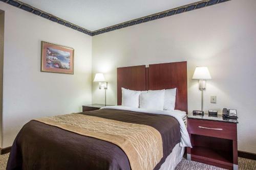 Hotel Comfort Inn & Suites Ft.jackson Maingate
