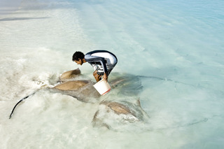 Hotel Banyan Tree Maldives Vabbinfaru