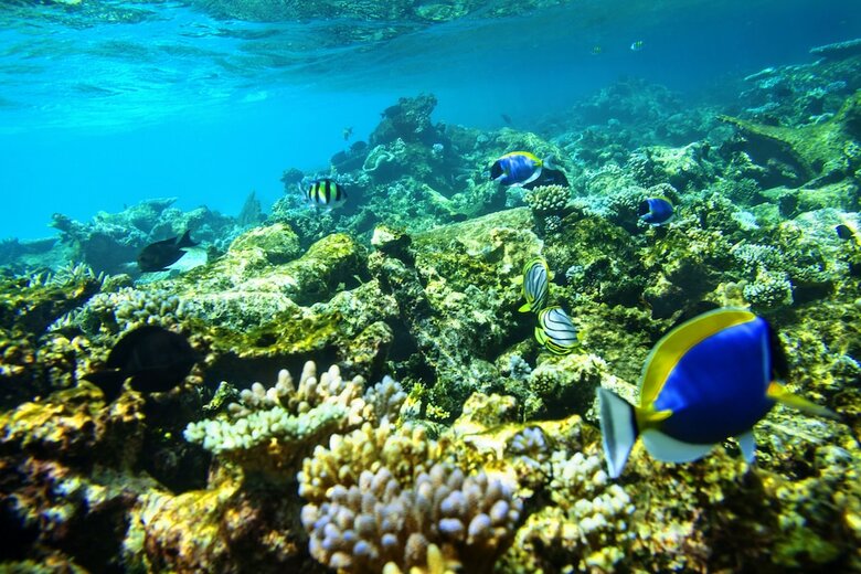 Hotel Robinson Club Maldives