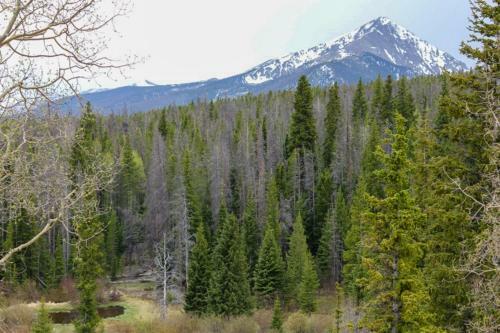 Apartamento Tenderfoot Lodge