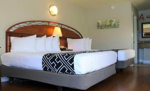 Motel Monte Carlo Inn- Near Disney