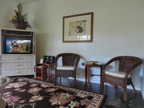 Hale Pua Villa - Hibiscus Suite
