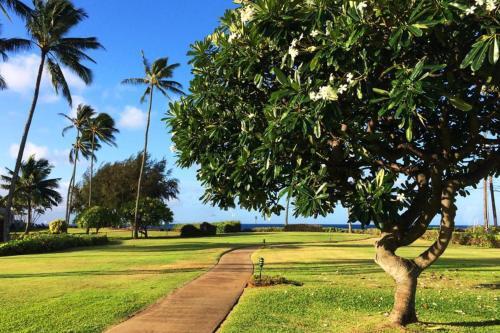 Manualoha 201