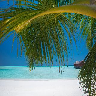 Hotel Anantara Dhigu Resort & Spa