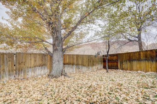 Cottonwoods 377