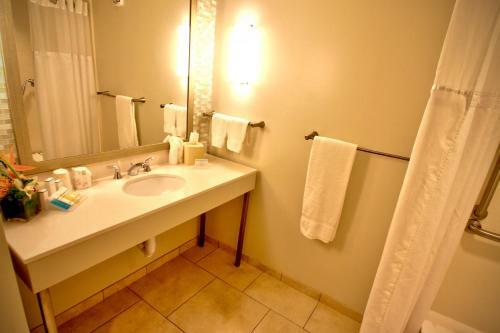Hotel Hilton Garden Inn Miami Dolphin Mall