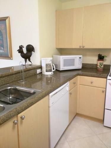 Miami Coral Gables Apartment