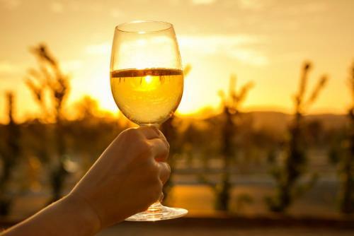 Hotel Allegretto Vineyard Resort Paso Robles