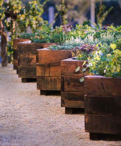 Hotel Allegretto Vineyard Resort Paso Robles