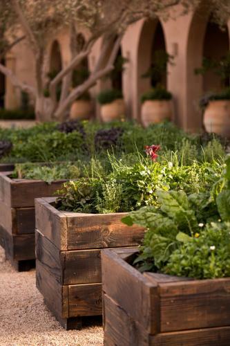 Hotel Allegretto Vineyard Resort Paso Robles