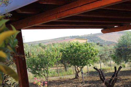 Agroturismo Antico Ulivo