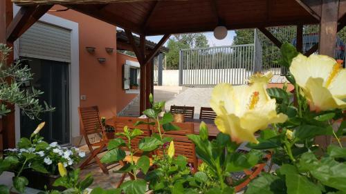 Agroturismo Antico Ulivo