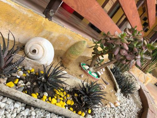 Bed & Breakfast Magna Grecia