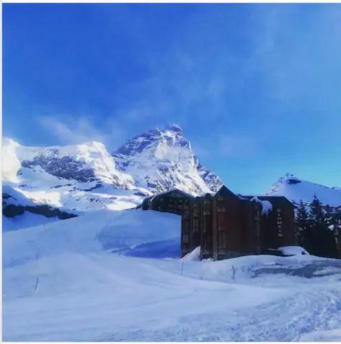The Nest Apartment Suite Ski-in Ski-out With Hammam