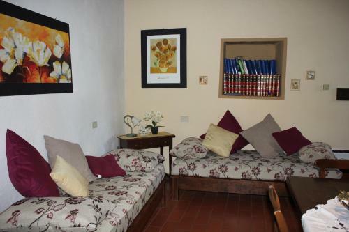 Agroturismo Badia Il Vingone