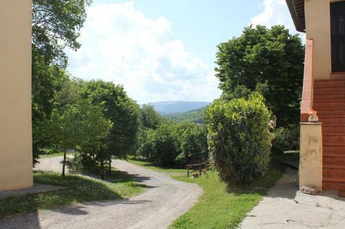 Agroturismo Badia Il Vingone