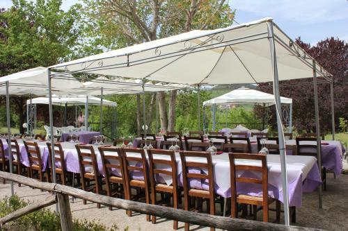 Agroturismo Badia Il Vingone
