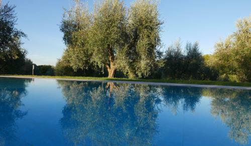 Agroturismo Agriturismo La Pieve