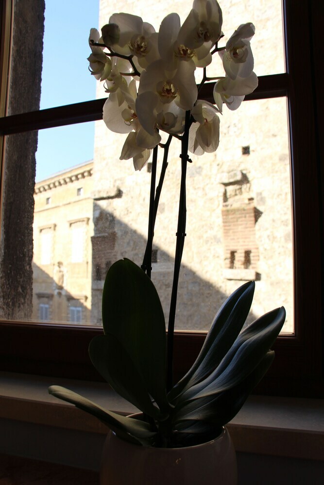 Bed & Breakfast Residenza D'epoca Palazzo Borghesi