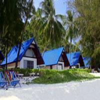 Hotel Coral Island Resort