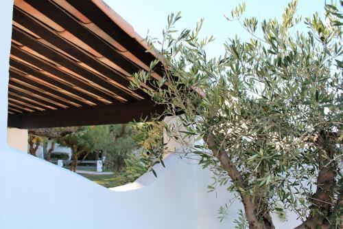 Hotel Mas Des Ri�ges & Spa