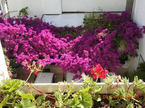 Bed & Breakfast Kale Pansiyon