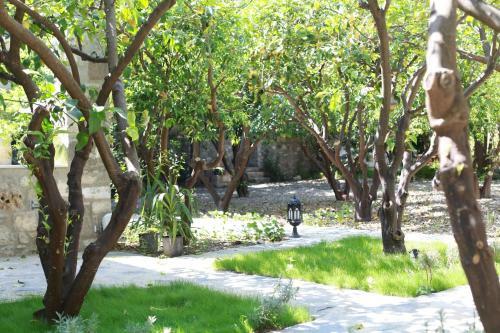 Bed & Breakfast Ha La Bodrum