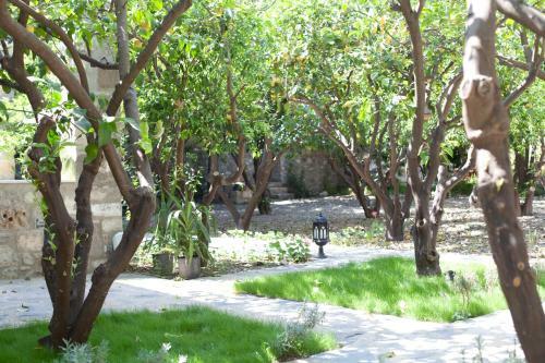 Bed & Breakfast Ha La Bodrum