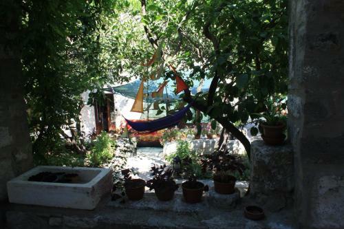 Bed & Breakfast Ha La Bodrum