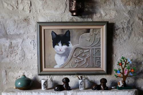 Bed & Breakfast Ha La Bodrum