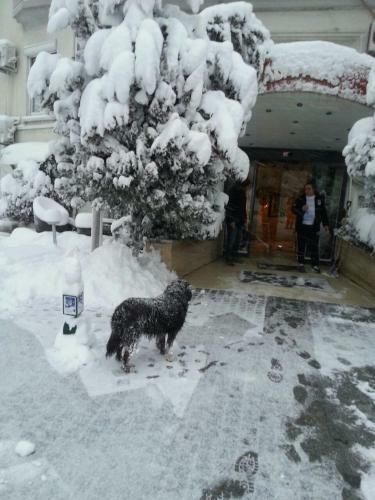 Bed & Breakfast Adapalas Hotel