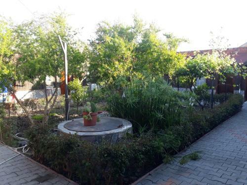 Huzur Pansiyon Ve Cay Bahcesi