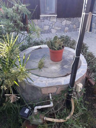 Huzur Pansiyon Ve Cay Bahcesi