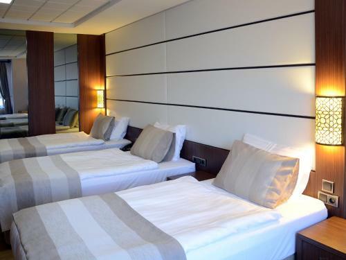 Safa Royal Museum Hotel